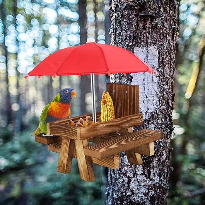 Something Feels Totally Wrong Here