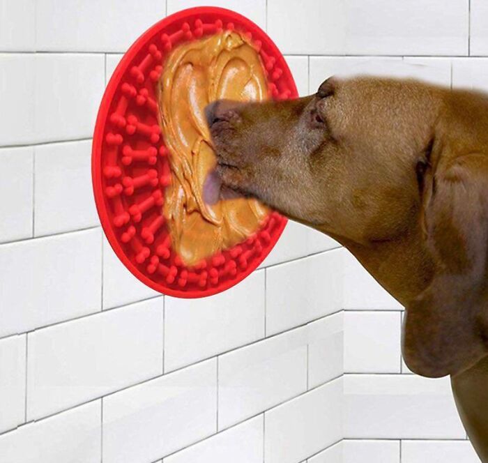 Dog Lick Mat Promo Pic That Was Totally Confusing