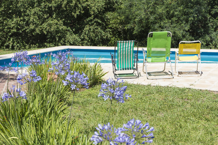 The Wildest Neighbor Antics We Secretly Witnessed