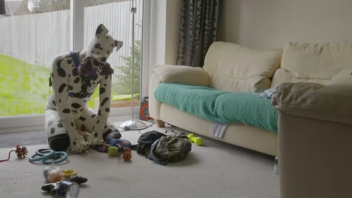 The Wildest Neighbor Antics We Secretly Witnessed