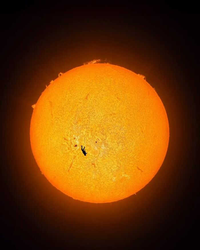 Wait, These Photos Nailed the Timing Like Total Pros!