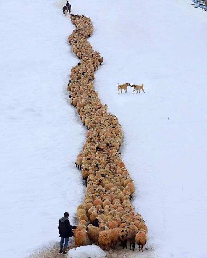 Wait, These Photos Nailed the Timing Like Total Pros!