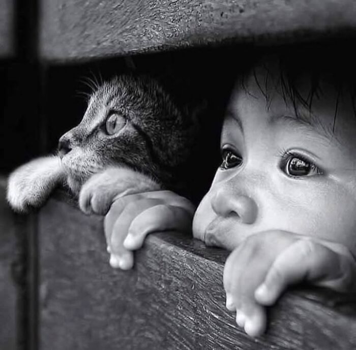 Wait, These Photos Nailed the Timing Like Total Pros!