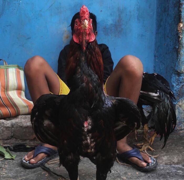 Wait, These Photos Nailed the Timing Like Total Pros!