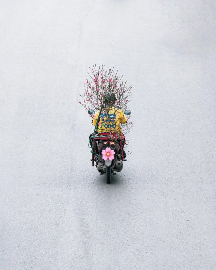 Wait, These Photos Nailed the Timing Like Total Pros!