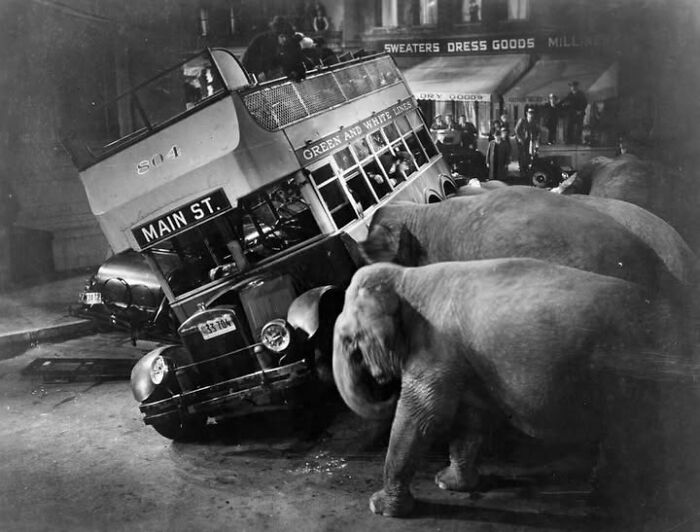 Wait, These Photos Nailed the Timing Like Total Pros!