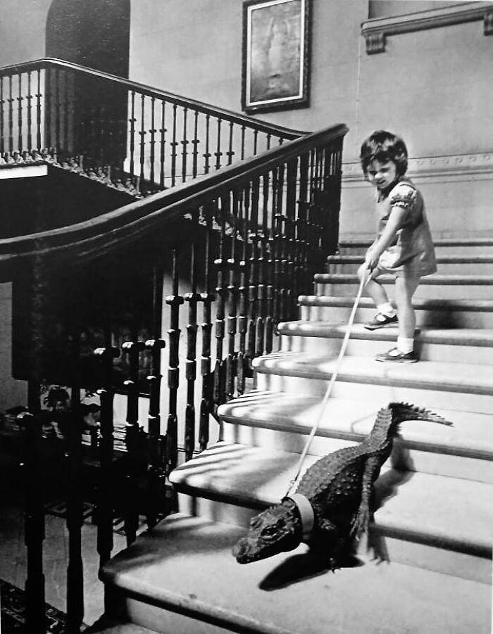 Wait, These Photos Nailed the Timing Like Total Pros!