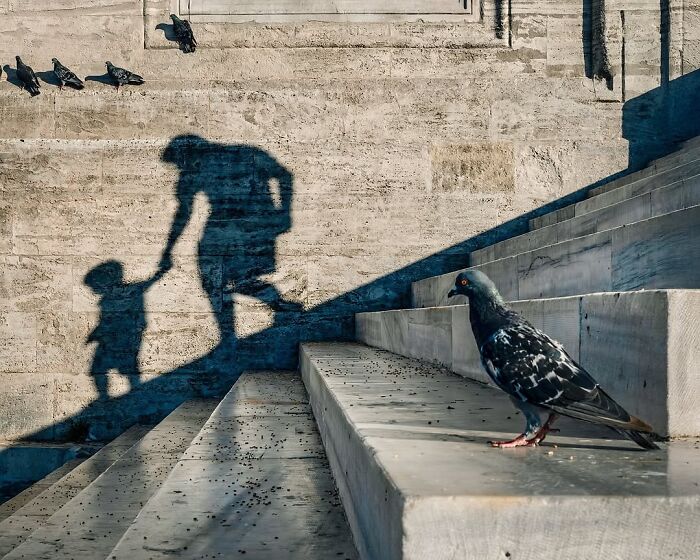 Wait, These Photos Nailed the Timing Like Total Pros!