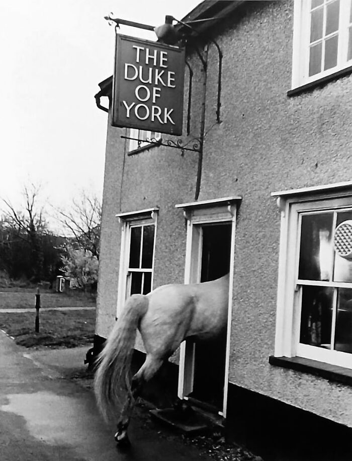 Wait, These Photos Nailed the Timing Like Total Pros!