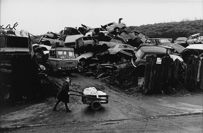 Wait, These Photos Nailed the Timing Like Total Pros!