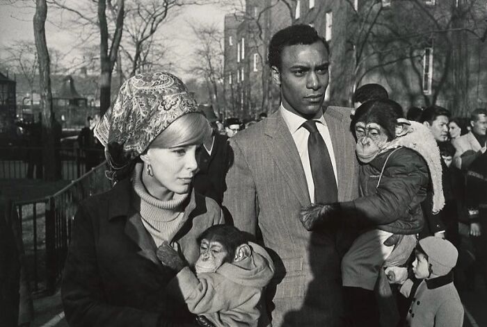 Wait, These Photos Nailed the Timing Like Total Pros!