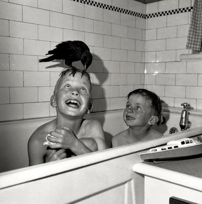 Wait, These Photos Nailed the Timing Like Total Pros!