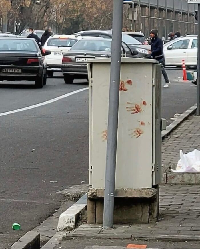 Wait, These Photos Nailed the Timing Like Total Pros!