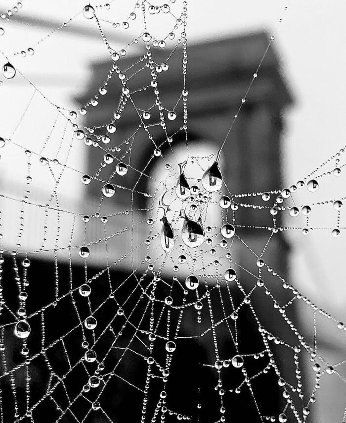 Wait, These Photos Nailed the Timing Like Total Pros!