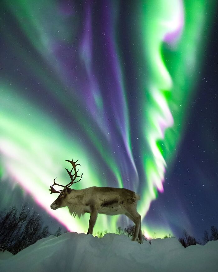 These Night Photos Are So Cool You'll Forget It's Dark Out