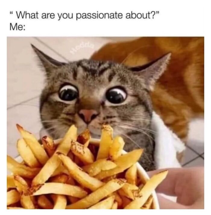 These Food Memes Are So Funny You'll Wish You Could Eat Your Screen