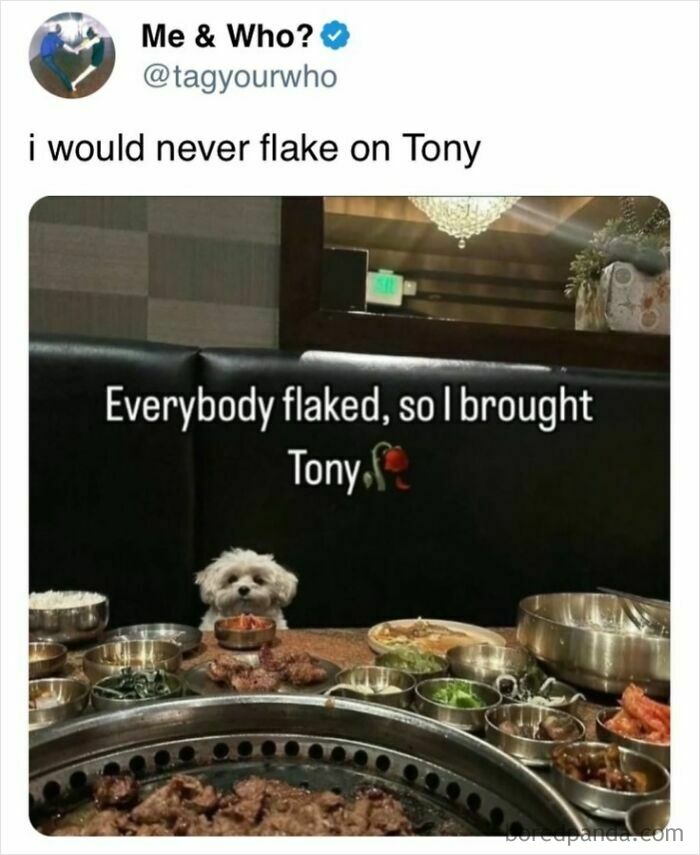 These Food Memes Are So Funny You'll Wish You Could Eat Your Screen