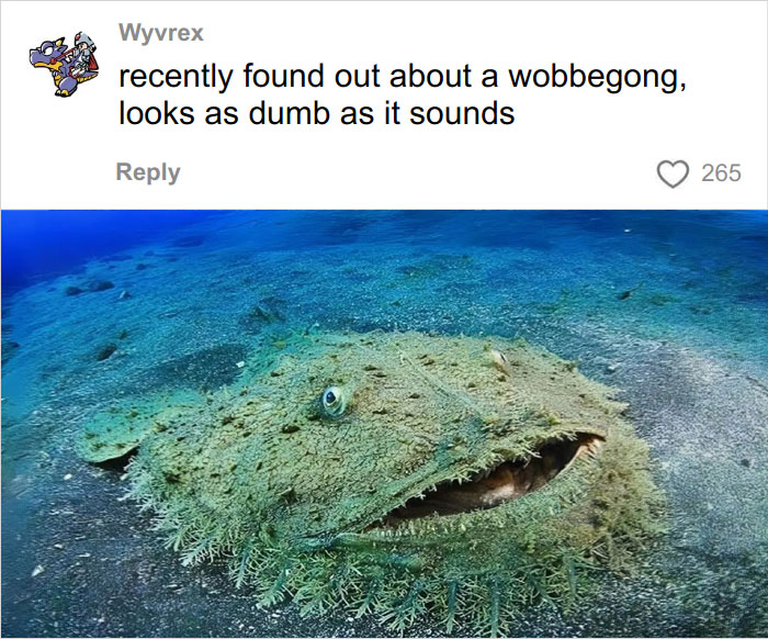 Wait, They Actually Named Animals This?!