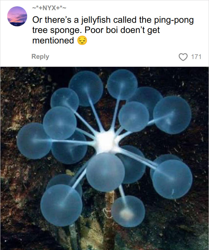 Wait, They Actually Named Animals This?!