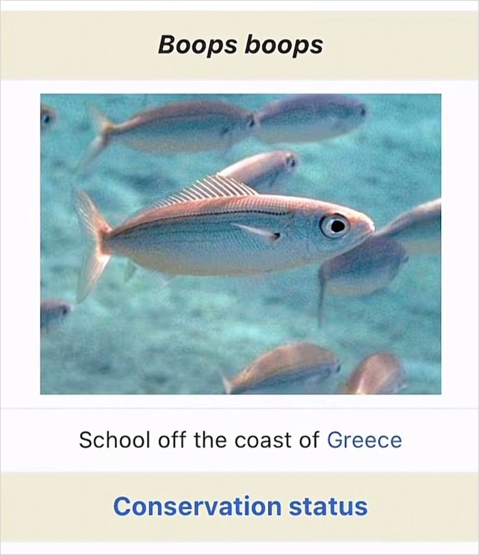 Wait, They Actually Named Animals This?!