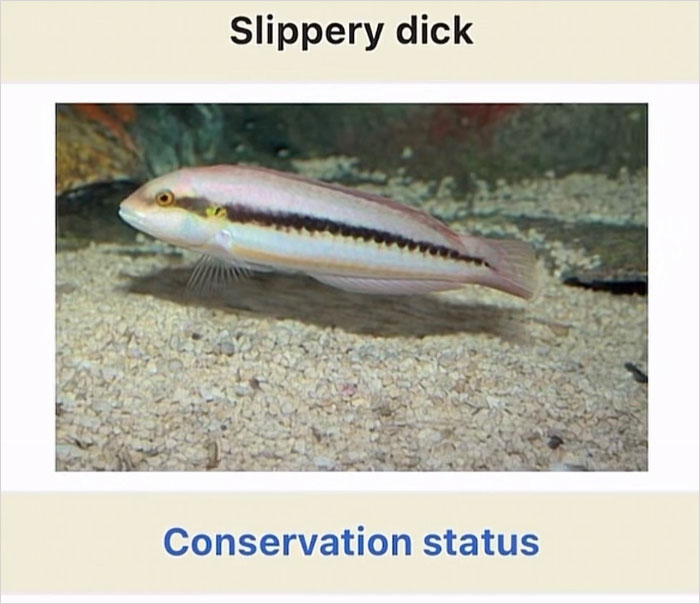 Wait, They Actually Named Animals This?!