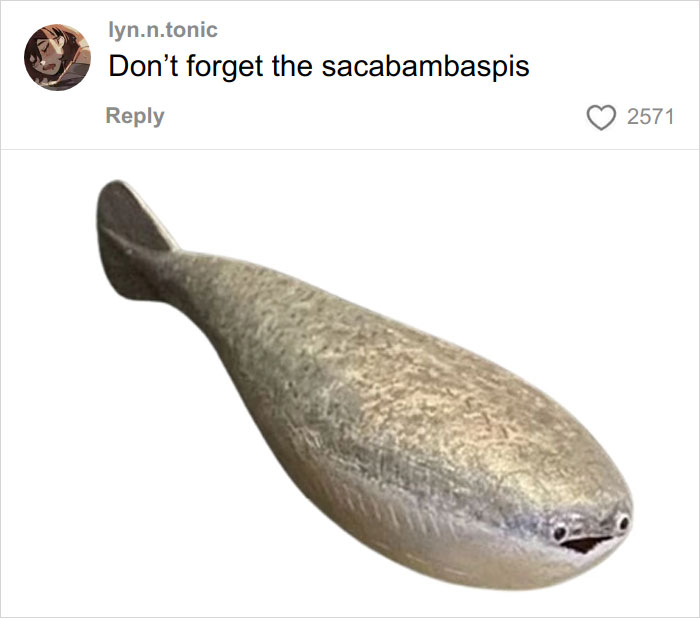 Wait, They Actually Named Animals This?!