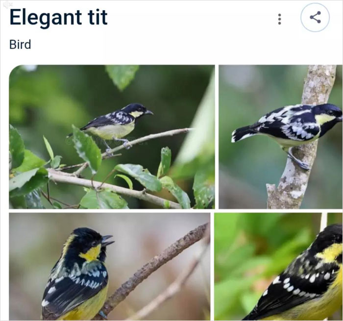 Wait, They Actually Named Animals This?!