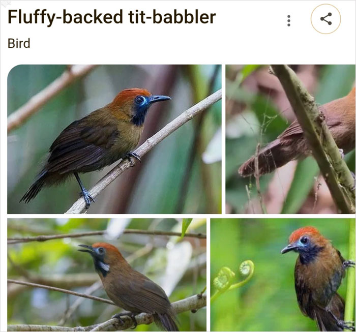 Wait, They Actually Named Animals This?!