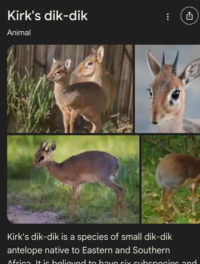 Wait, They Actually Named Animals This?!