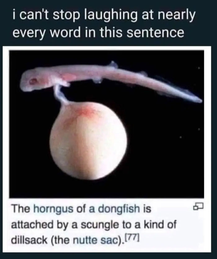 Wait, They Actually Named Animals This?!