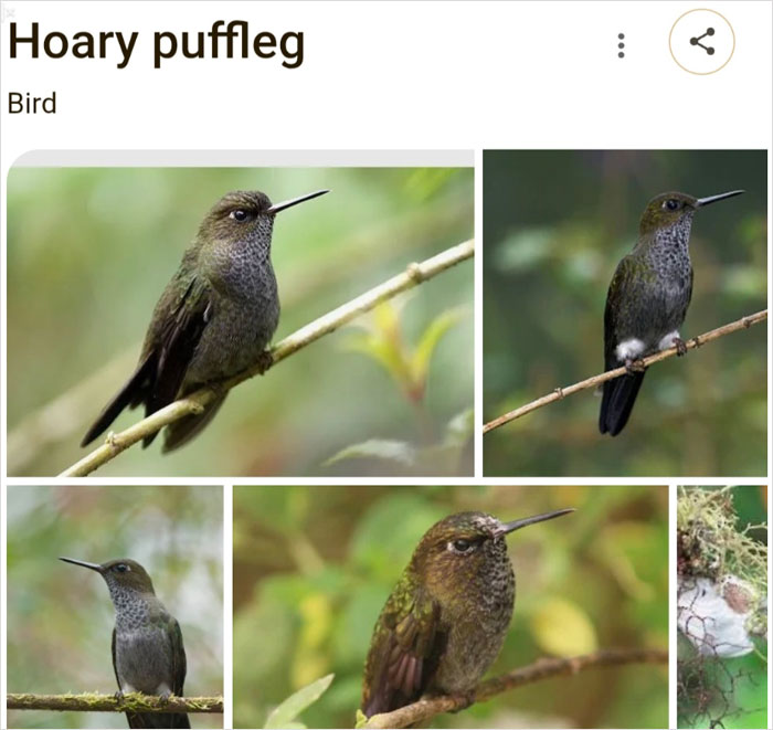 Wait, They Actually Named Animals This?!