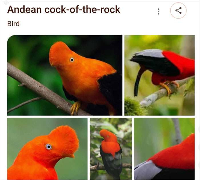 Wait, They Actually Named Animals This?!