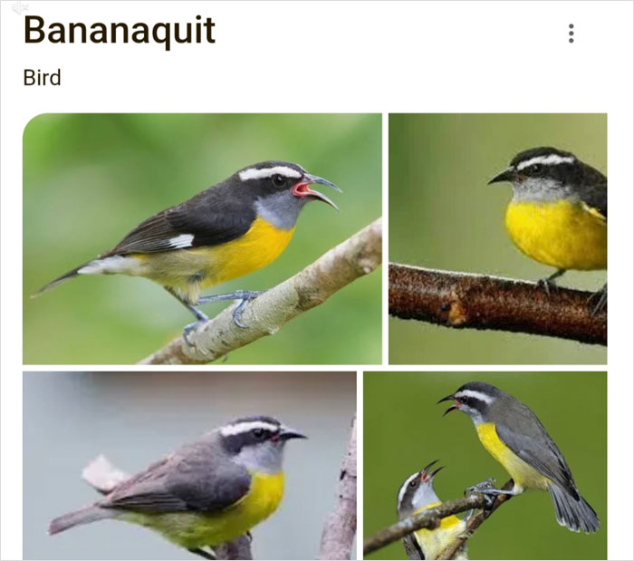 Wait, They Actually Named Animals This?!