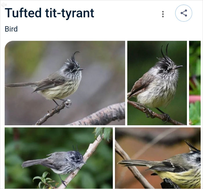 Wait, They Actually Named Animals This?!