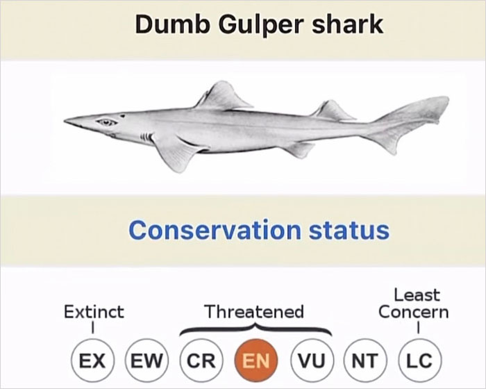 Wait, They Actually Named Animals This?!