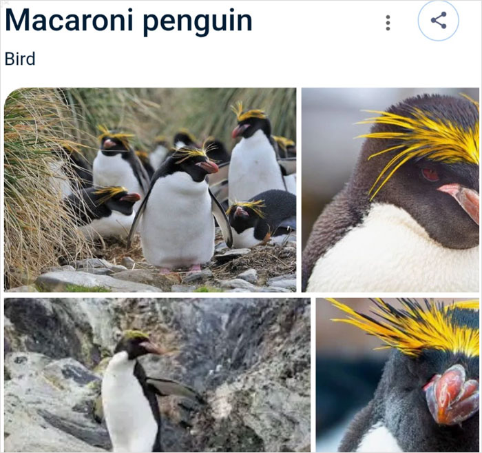 Wait, They Actually Named Animals This?!