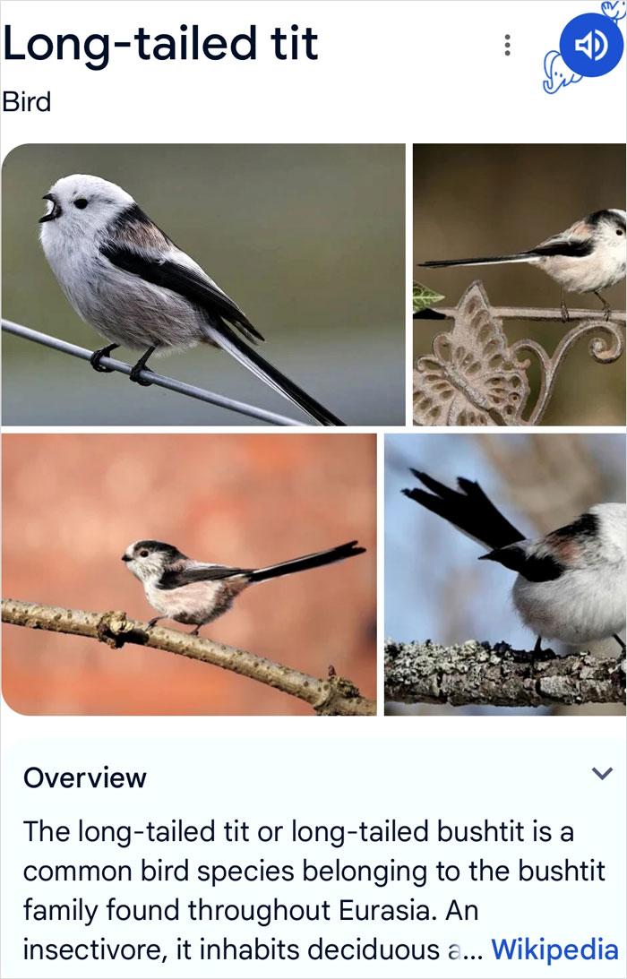 Wait, They Actually Named Animals This?!