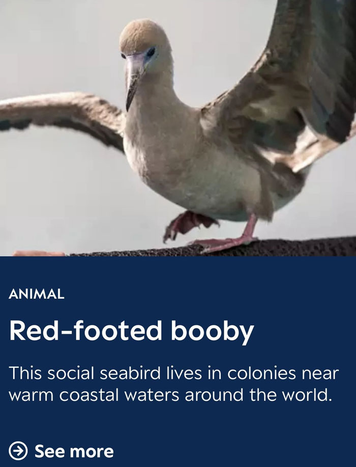 Wait, They Actually Named Animals This?!