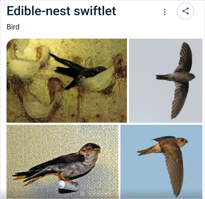 Wait, They Actually Named Animals This?!