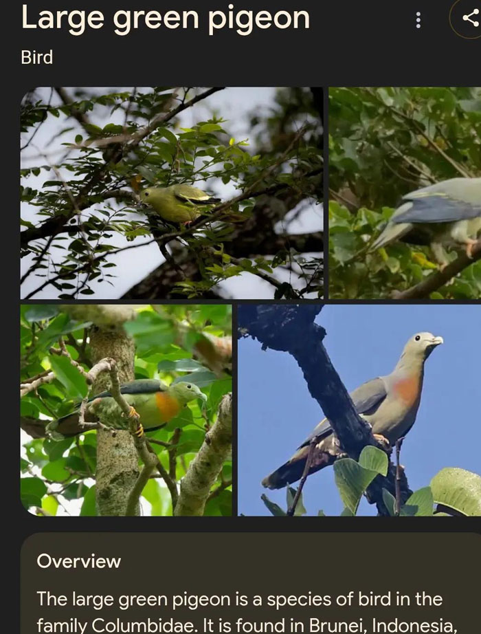 Wait, They Actually Named Animals This?!