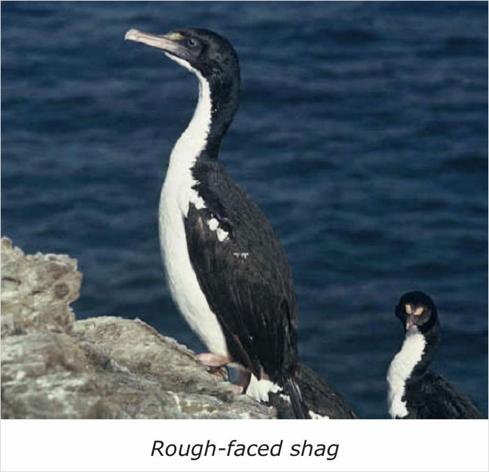 Wait, They Actually Named Animals This?!