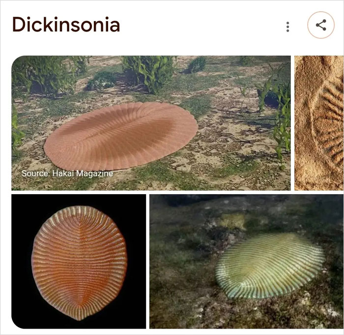 Wait, They Actually Named Animals This?!