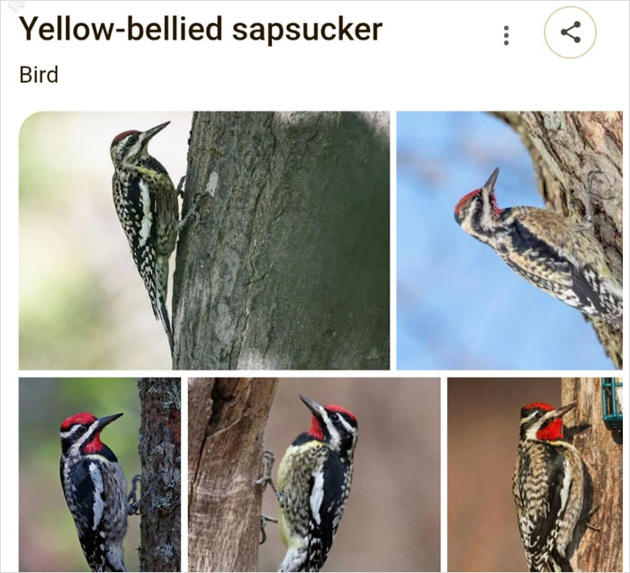 Wait, They Actually Named Animals This?!