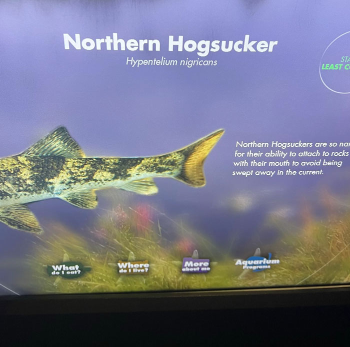 Wait, They Actually Named Animals This?!