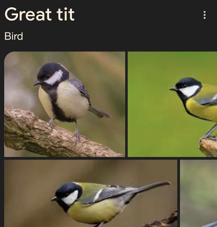 Wait, They Actually Named Animals This?!