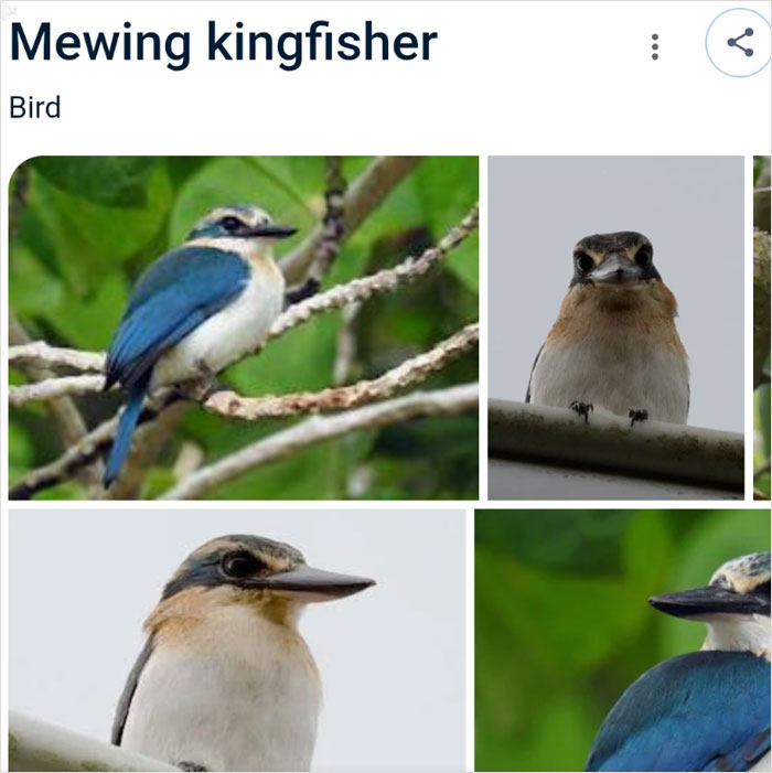 Wait, They Actually Named Animals This?!