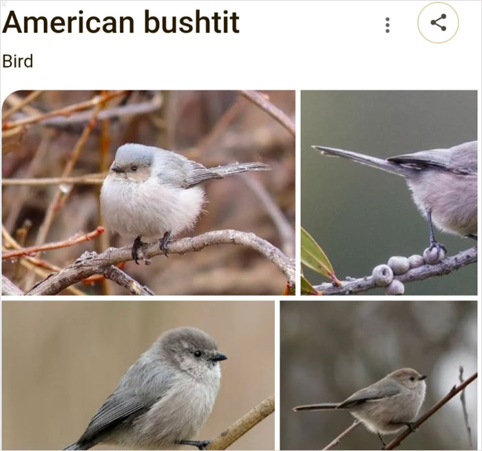 Wait, They Actually Named Animals This?!