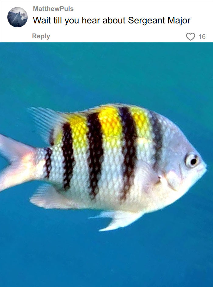 Wait, They Actually Named Animals This?!