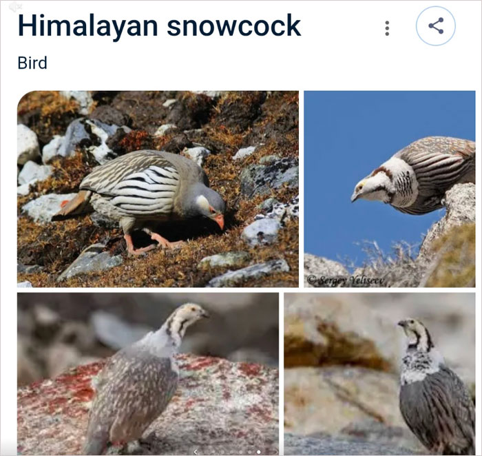 Wait, They Actually Named Animals This?!