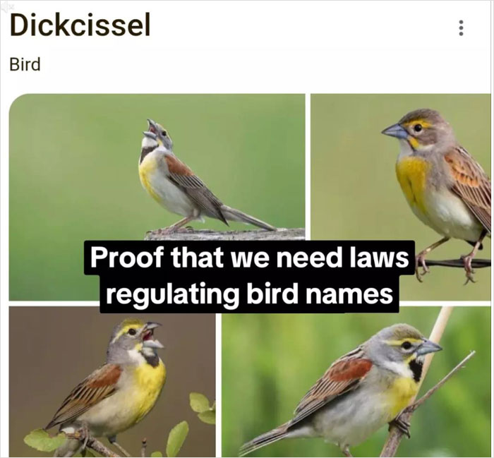 Wait, They Actually Named Animals This?!